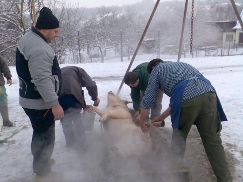 Vepřové hody - 29.12.2006